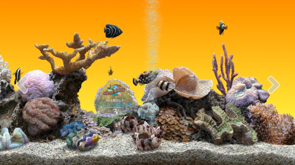 Marine Aquarium-3