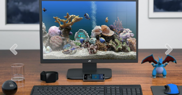 Marine Aquarium