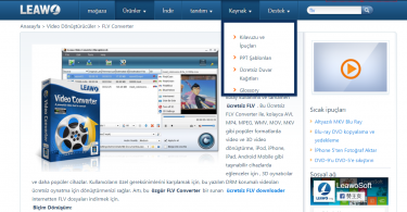 Leawo FLV Video Converter