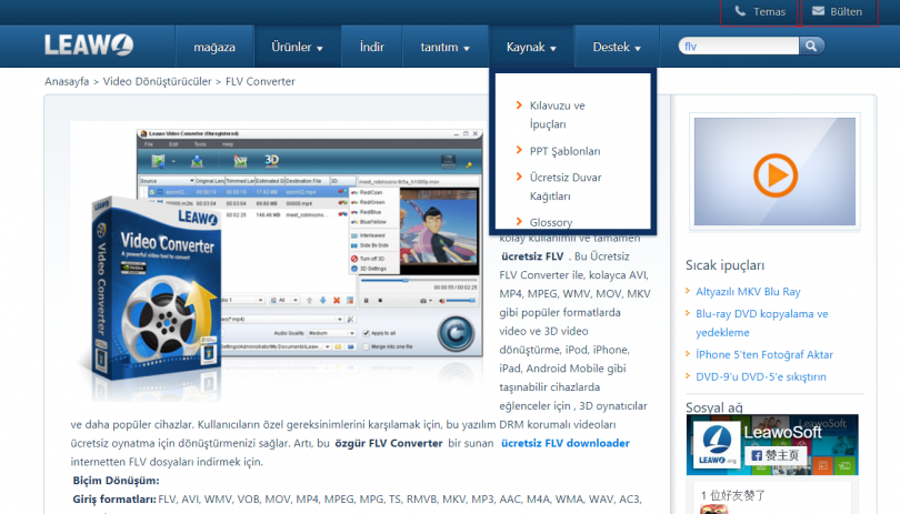 Leawo FLV Video Converter
