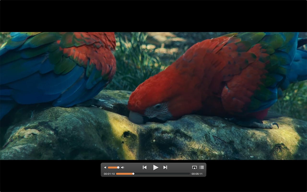 Elmedia Player Mac
