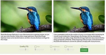 Black-Bird-Image-Optimizer
