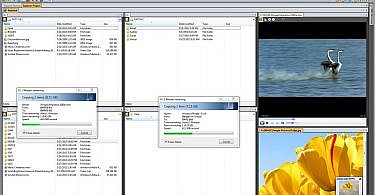 Vole Windows Expedition pro