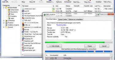 ınternet-download-manager