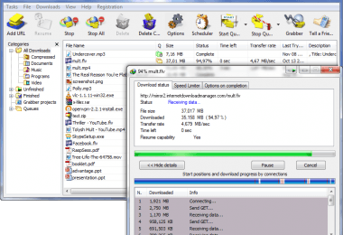 ınternet-download-manager