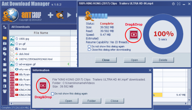Ant Download Manager,Ant Download Manager ücretsiz